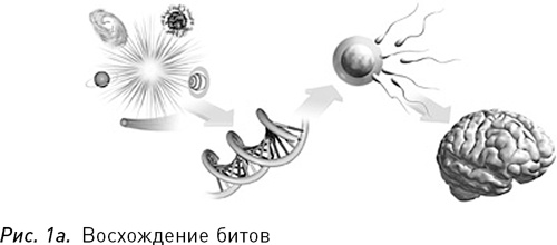 Программируя Вселенную. Квантовый компьютер и будущее науки