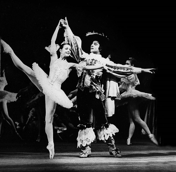 Жизнь в балете. Семейные хроники Плисецких и Мессереров