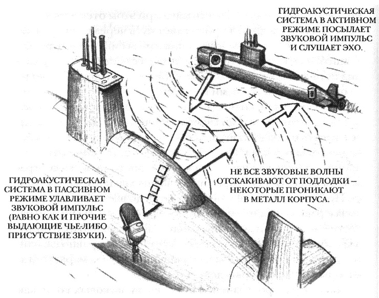 Занимательное волноведение. Волнения и колебания вокруг нас