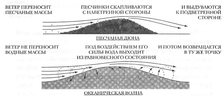 Занимательное волноведение. Волнения и колебания вокруг нас