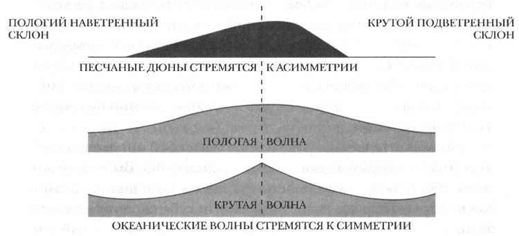 Занимательное волноведение. Волнения и колебания вокруг нас