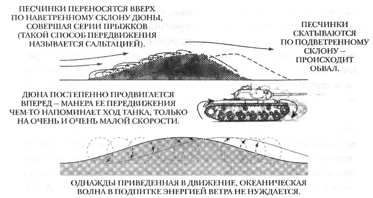 Занимательное волноведение. Волнения и колебания вокруг нас