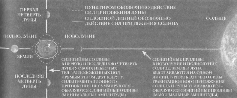 Занимательное волноведение. Волнения и колебания вокруг нас