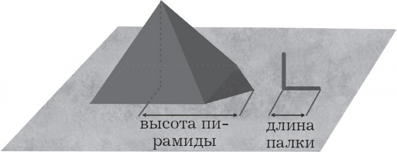 Большой роман о математике. История мира через призму математики