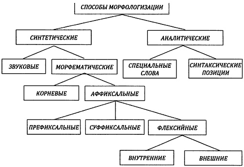 От предъязыка - к языку: введение в эволюционную лингвистику