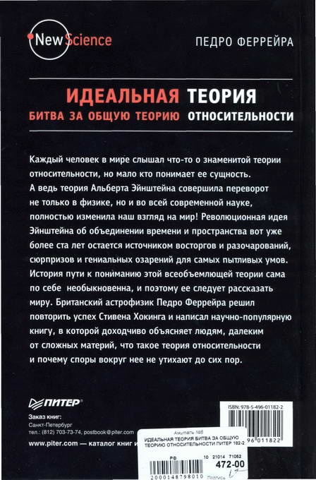 Идеальная теория. Битва за общую теорию относительности