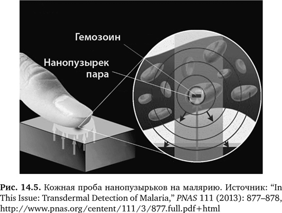 Будущее медицины. Ваше здоровье в ваших руках