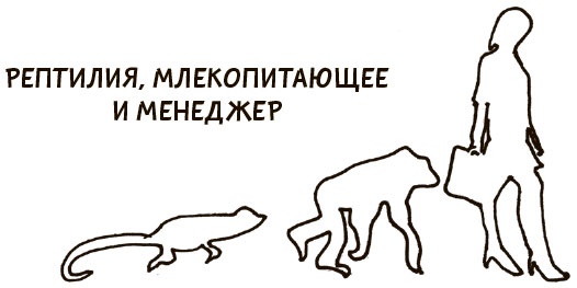 Я хочу больше идей. Более 100 техник и упражнений для развития творческого мышления