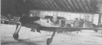 Focke Wulf Fw 190D Ta 15