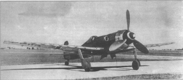 Focke Wulf Fw 190D Ta 15