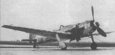 Focke Wulf Fw 190D Ta 15