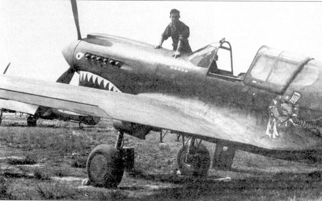 Curtiss P-40. Часть 4