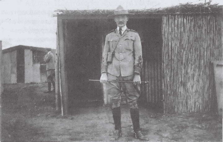 Король Карелии. Полковник Ф. Дж. Вудс и британская интервенция на севере России в 1918-1919 гг.