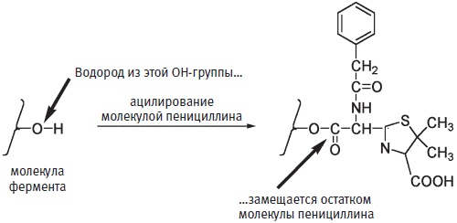 Пуговицы Наполеона. Семнадцать молекул, которые изменили мир