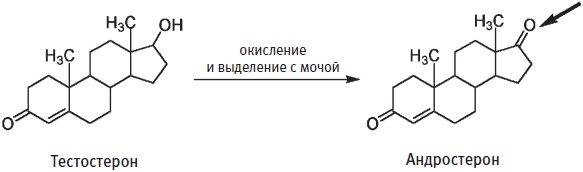 Пуговицы Наполеона. Семнадцать молекул, которые изменили мир