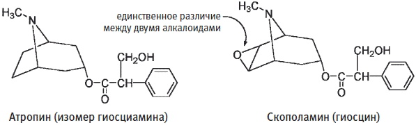 Пуговицы Наполеона. Семнадцать молекул, которые изменили мир