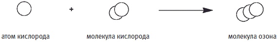 Пуговицы Наполеона. Семнадцать молекул, которые изменили мир