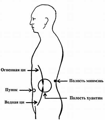 Цигун. Изменения мышц и сухожилий промывания костного и головного мозга. Секреты молодости