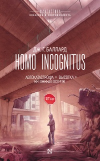 Книга Homo Incognitus. Автокатастрофа. Высотка. Бетонный остров