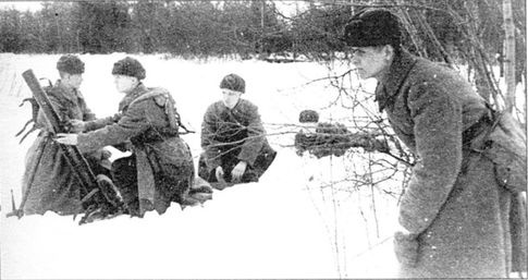 "Танки, вперед". Курьезы танковой войны в битве за Ленинград 1941-1944 гг.