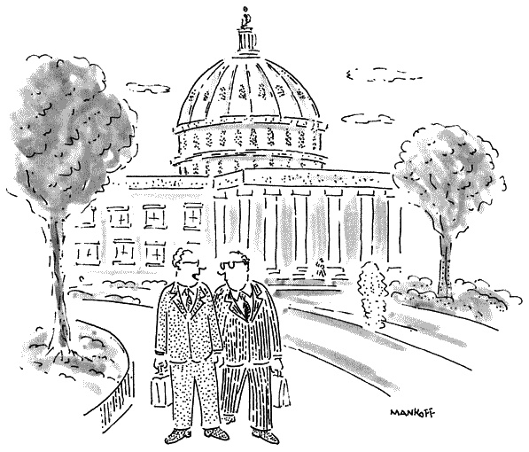 Аристотель и муравьед едут в Вашингтон. Понимание политики через философию и шутки