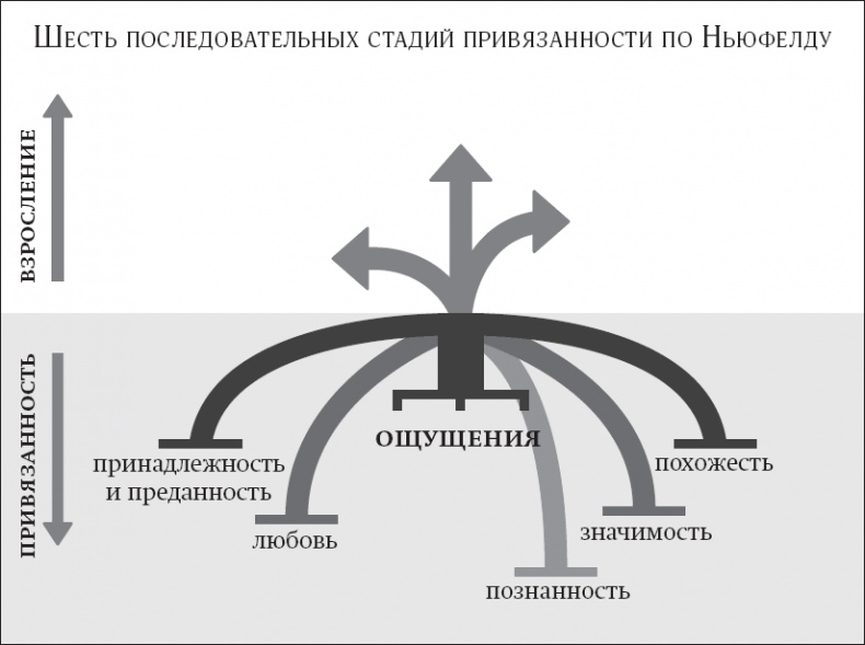 Покой, игра, развитие