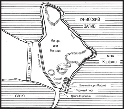 Римские войны. Под знаком Марса