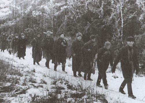 Серпухов. Последний рубеж. 49-я армия в битве за Москву. 1941