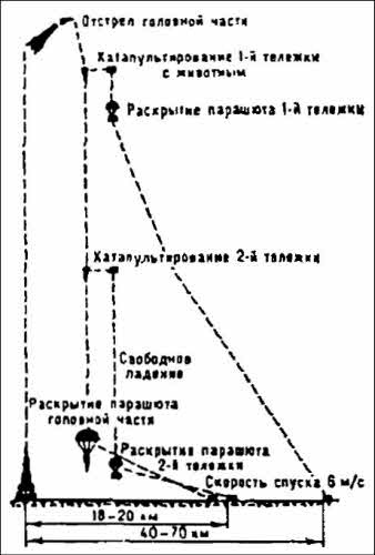 Полеты богов и людей