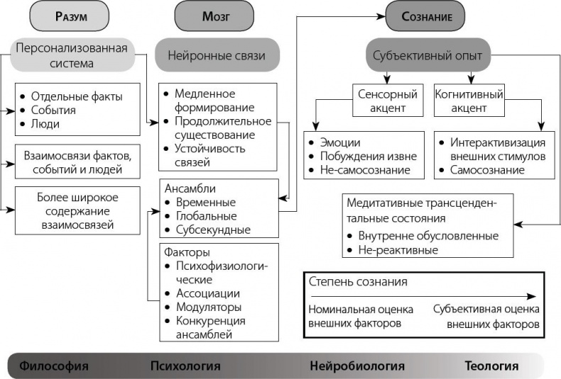 Один день из жизни мозга. Нейробиология сознания от рассвета до заката