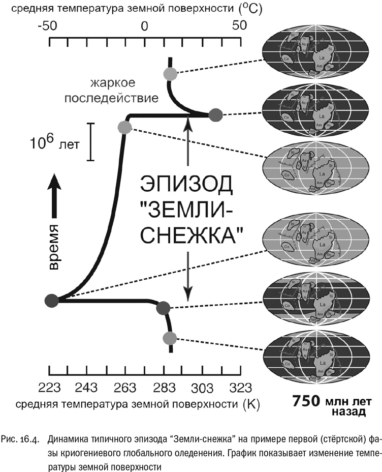 От атомов к древу. Введение в современную науку о жизни