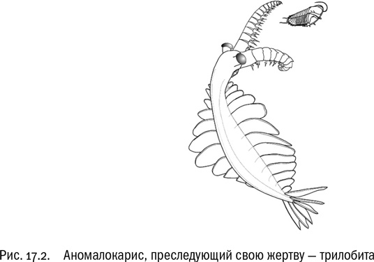 От атомов к древу. Введение в современную науку о жизни