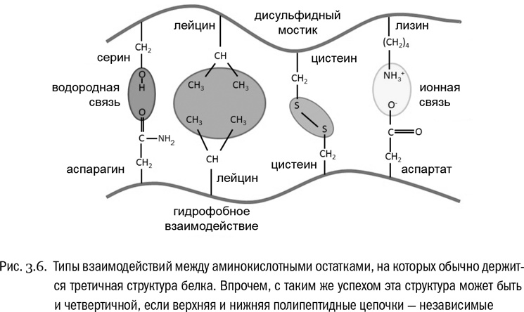 От атомов к древу. Введение в современную науку о жизни