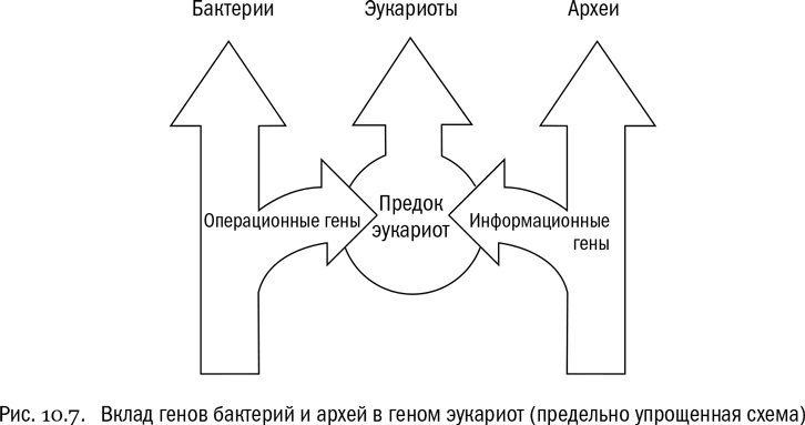 От атомов к древу. Введение в современную науку о жизни