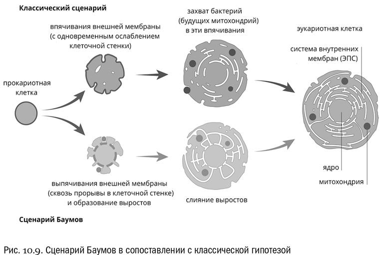 От атомов к древу. Введение в современную науку о жизни