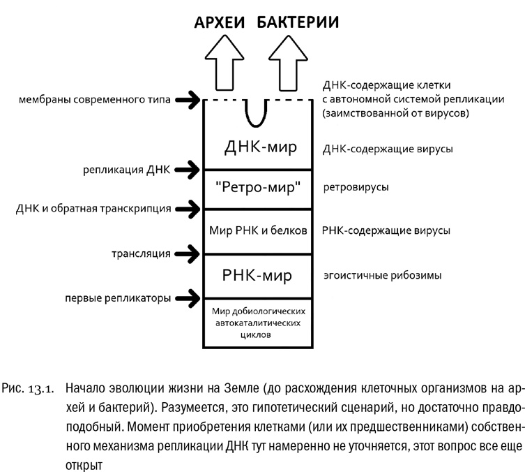 От атомов к древу. Введение в современную науку о жизни