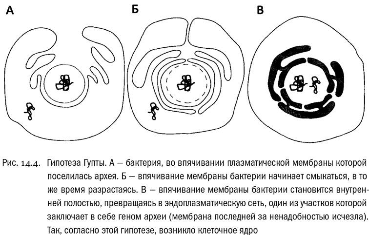 От атомов к древу. Введение в современную науку о жизни