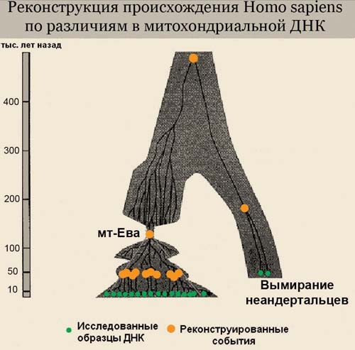 Обитаемый остров Земля