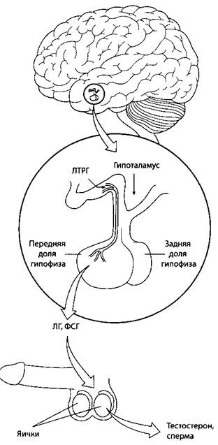 Психология стресса