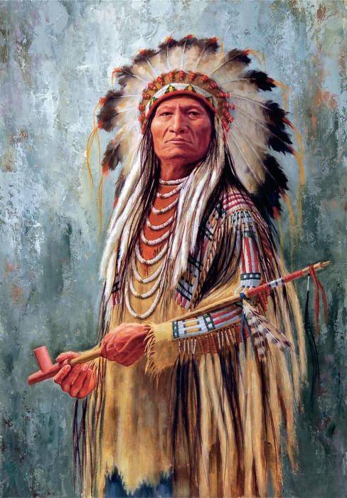 Сила шаманов. Боевая и лечебная магия индейцев Дикого Запада