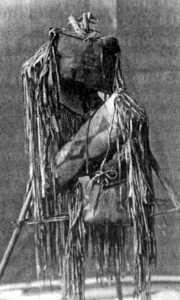 Наделенные силой. Тайны индейских шаманов