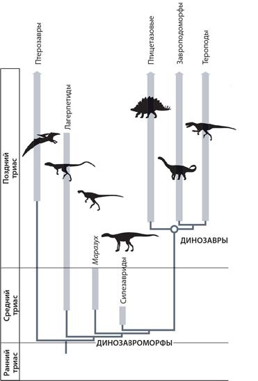 Динозавры. 150 000 000 лет господства на Земле