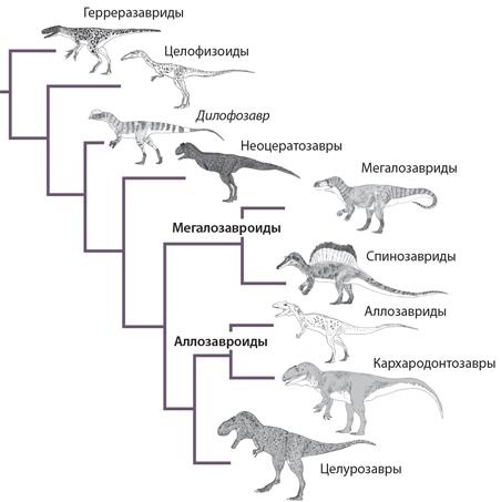 Динозавры. 150 000 000 лет господства на Земле