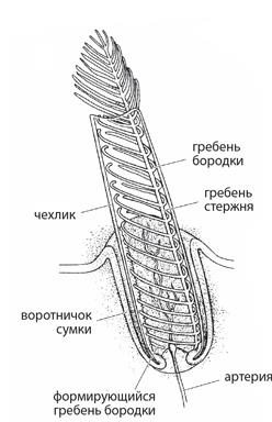 Динозавры. 150 000 000 лет господства на Земле