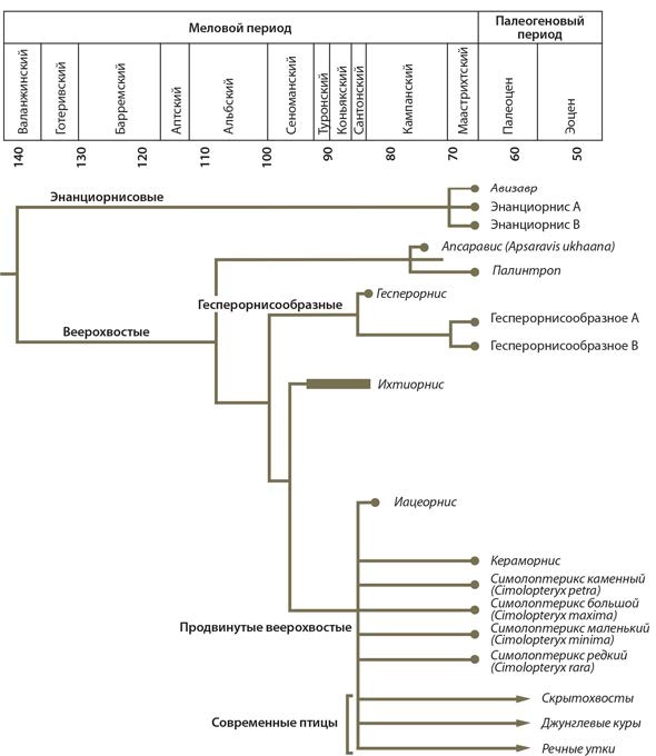 Динозавры. 150 000 000 лет господства на Земле