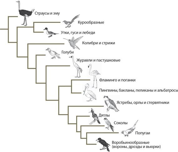 Динозавры. 150 000 000 лет господства на Земле