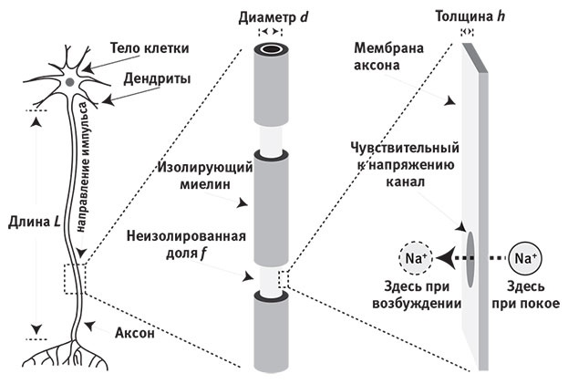 Наша математическая вселенная. В поисках фундаментальной природы реальности