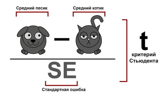 Статистика и котики