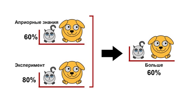 Статистика и котики