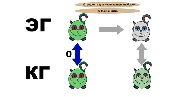 Статистика и котики